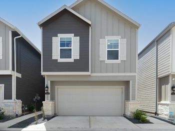 1509 Blue Acer