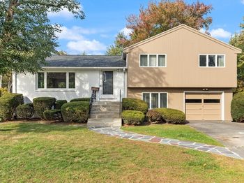 19 Selwyn Rd