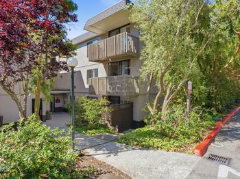 1126 Shelter Creek Lane