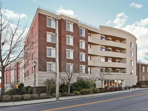 242 Maple Avenue 419, Westbury NY 11590
