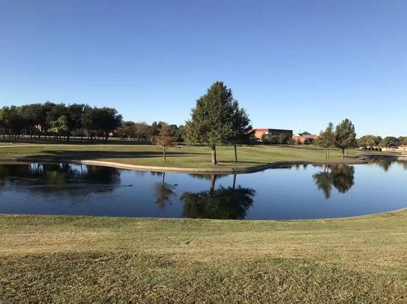 2113  Trellis Place , Richardson Texas 75081