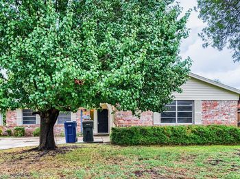 1106  Intervale Drive 