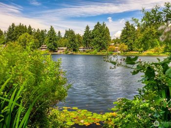 13202 Bitter Place N