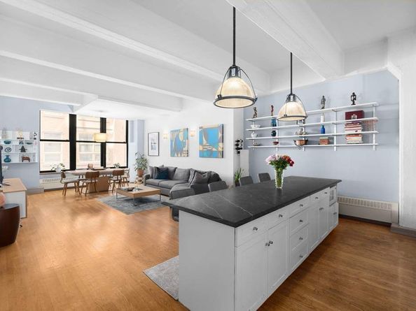 30 Main Street 3F, Brooklyn NY 11201