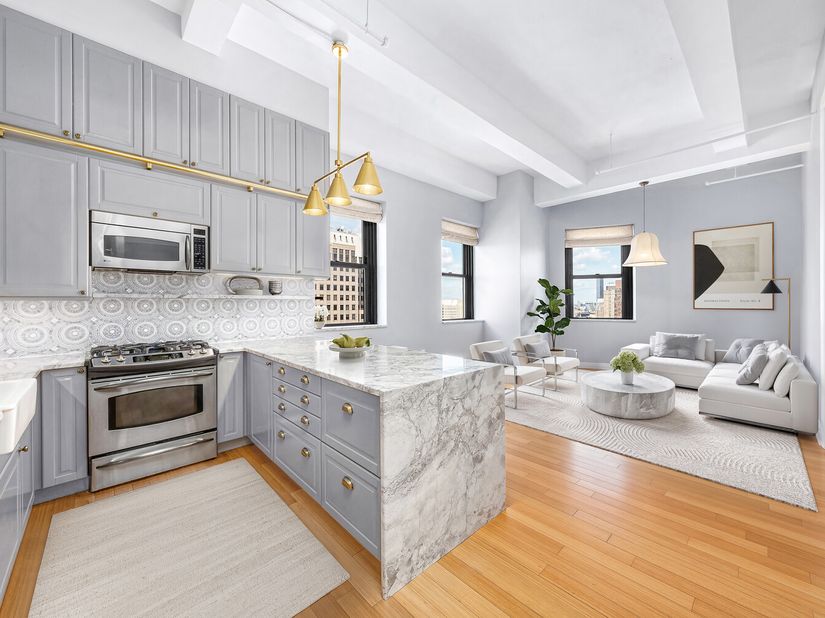 365 Bridge Street 22C, Brooklyn NY 11201