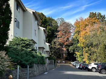 38 Padanaram Avenue