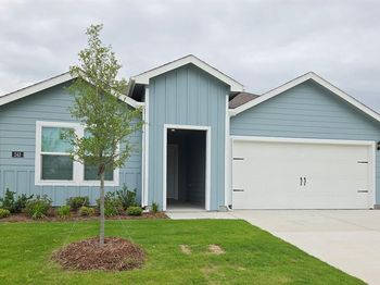 243  Desert Willow Way 
