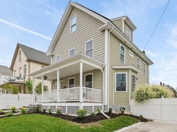 31 Gibbon