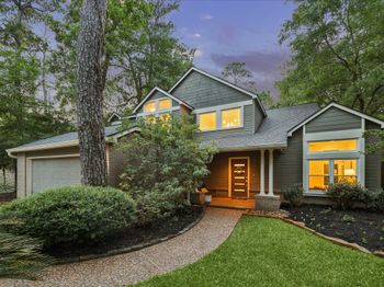 11 Twisted Birch Place Court