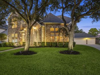 19902 Tidy Tips Lane