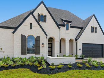 10802 Wild Leadwort Drive