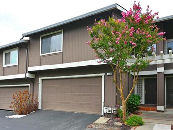 113 Westfield Cir