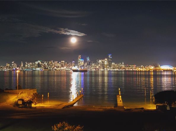 1221 Harbor Avenue SW 305, Seattle WA 98116