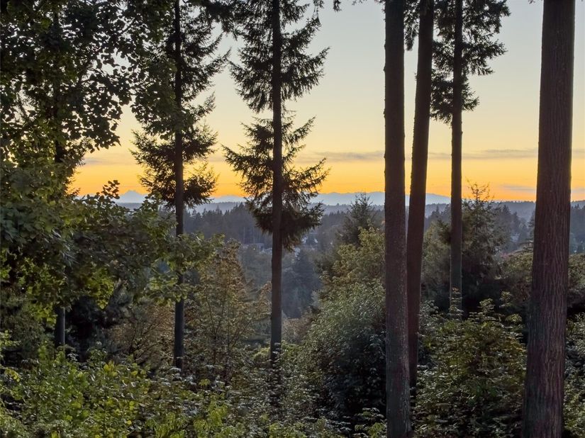 17315 102nd Avenue NE, Bothell WA 98011