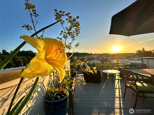3638 Courtland Place S B, Seattle WA 98144