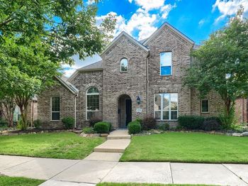 1224  Damsel Grey Trail 
