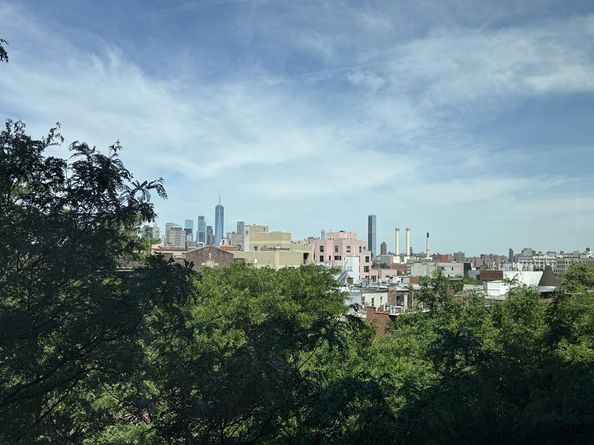 201 Clinton Avenue 7A, Brooklyn NY 11205
