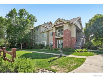 804 Summer Hawk Drive