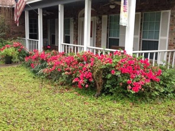 27 Thornhill Oaks Drive, Houston TX 77015