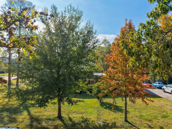9217 Sequoia Drive, Houston TX 77041