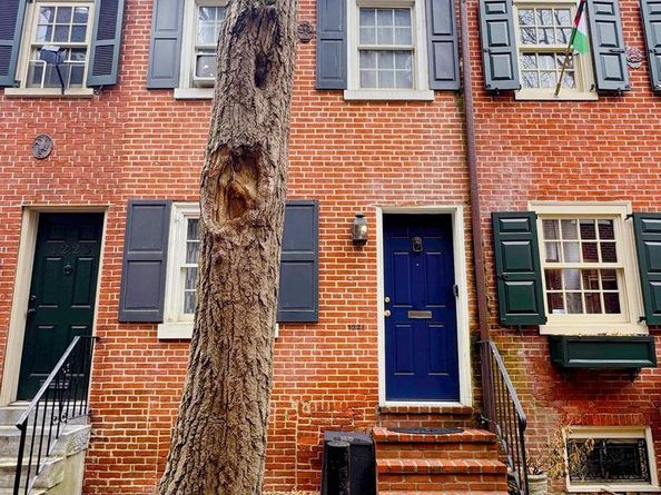 1221 Panama Street, Philadelphia PA 19107