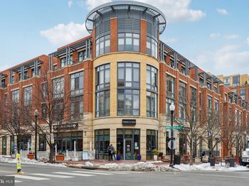 520 John Carlyle Street