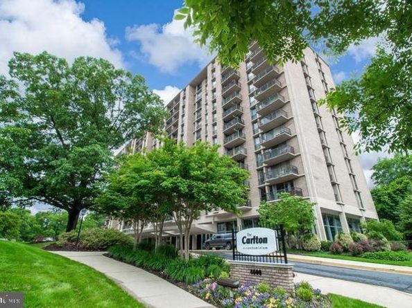 4600 S Four Mile Run Drive 1203, Arlington VA 22204