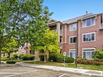 804 Summer Hawk Drive