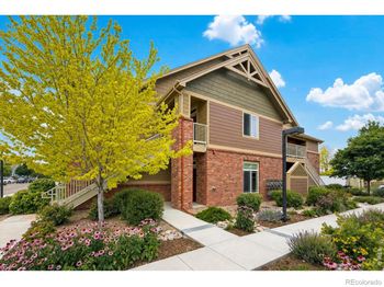 804 Summer Hawk Drive