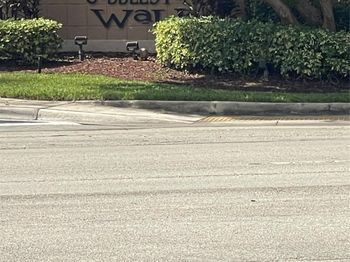 10178 Royal Palm Blvd