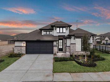 10710 Yellow Wild Indigo Lane