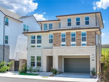 241 Burwood