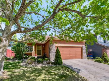 12664 Pronghorn Street