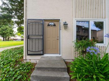 3696 Woodbine Way