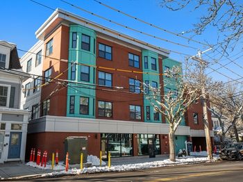 1151 Walnut