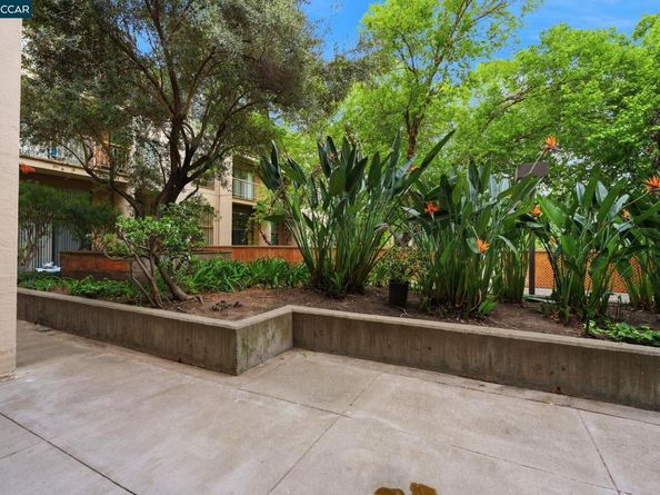 460 N Civic Dr 302, Walnut Creek CA 94596