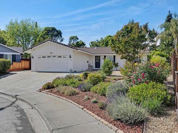 318 Almond