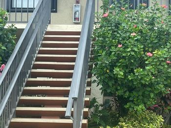 7891 Willow Spring Drive