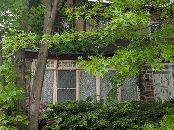 80 W Marshall Road