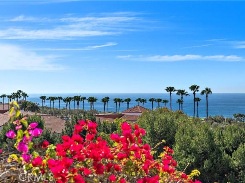 20 Sidra, Newport Coast CA 92657