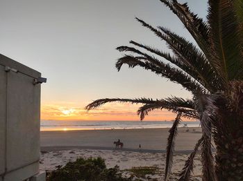 711 Pacific Coast Highway