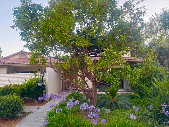 7019 Estrella De Mar Road, Carlsbad CA 92009