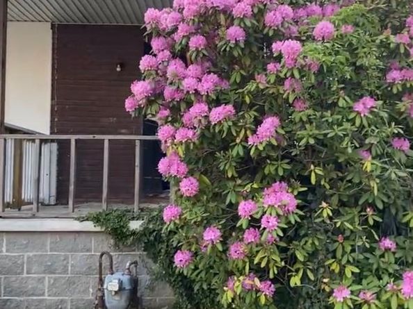 422 Arbor Road, Lansdowne PA 19050