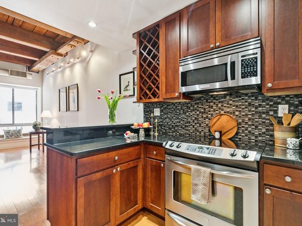 301 Race Street 410, Philadelphia PA 19106