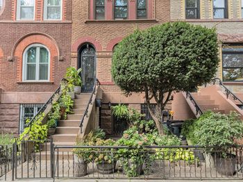 807 Lincoln Place