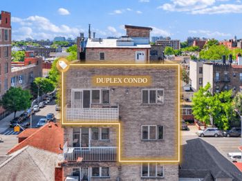 339 Ave P