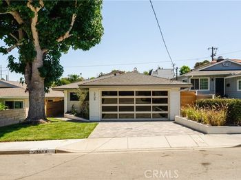 3508 Maple