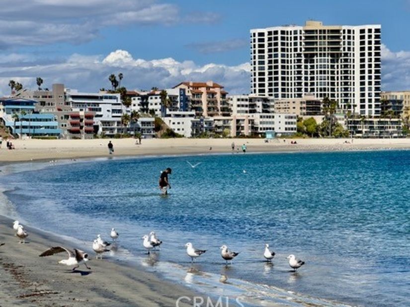 1310 E Ocean 405, Long Beach CA 90802