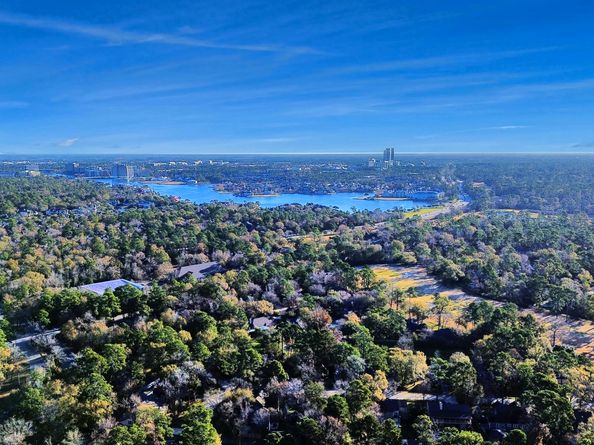 3500 Tangle Brush Drive 186, The Woodlands TX 77381