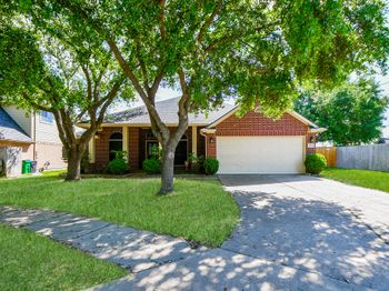 10402 Indian Paintbrush Lane